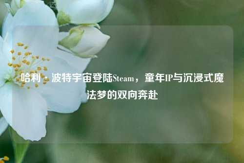 哈利·波特宇宙登陆Steam，童年IP与沉浸式魔法梦的双向奔赴