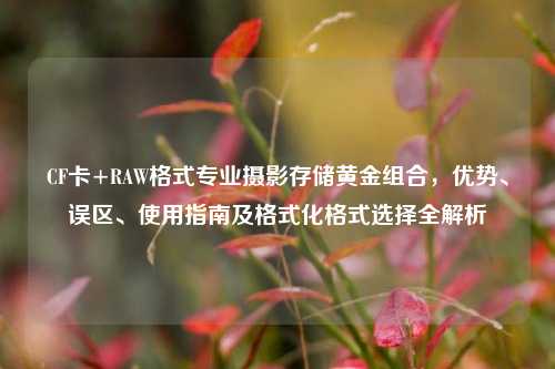 CF卡+RAW格式专业摄影存储黄金组合,优势、误区、使用指南及格式化格式选择全解析