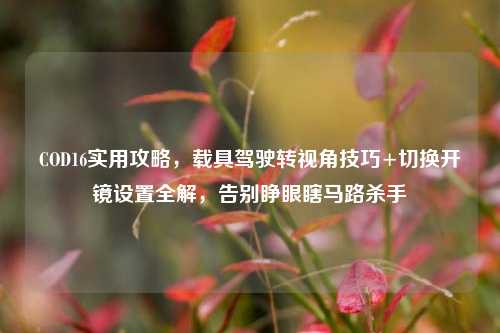 COD16实用攻略，载具驾驶转视角技巧+切换开镜设置全解，告别睁眼瞎马路杀手