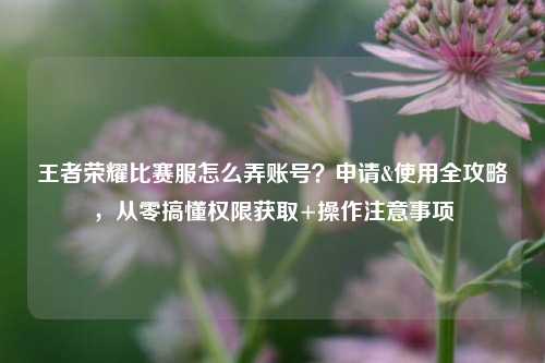 王者荣耀比赛服怎么弄账号?申请&使用全攻略,从零搞懂权限获取+操作注意事项