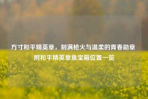 方寸和平精英章，刻满枪火与温柔的青春勋章 附和平精英章鱼宝箱位置一览