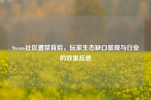 Steam社区遭禁背后,玩家生态缺口显现与行业的双重反思