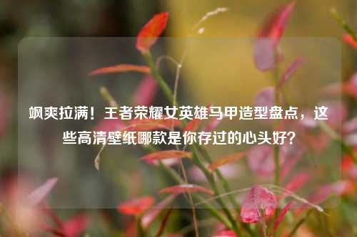 飒爽拉满！王者荣耀女英雄马甲造型盘点，这些高清壁纸哪款是你存过的心头好？