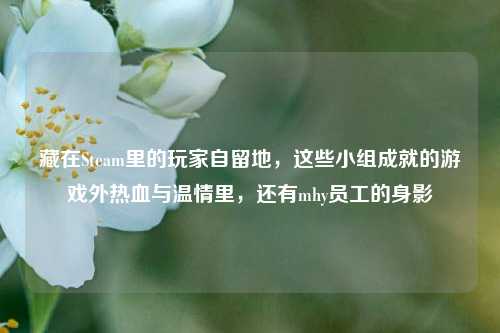 藏在Steam里的玩家自留地，这些小组成就的游戏外热血与温情里，还有mhy员工的身影