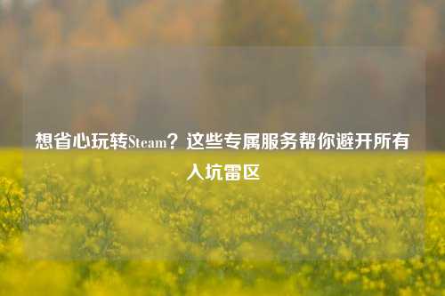 想省心玩转Steam？这些专属服务帮你避开所有入坑雷区