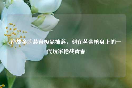 逆战金牌装备极品掉落，刻在黄金枪身上的一代玩家枪战青春