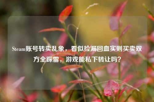 Steam账号转卖乱象，看似捡漏回血实则买卖双方全踩雷，游戏能私下转让吗？