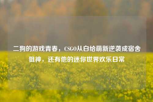 二狗的游戏青春，CSGO从白给萌新逆袭成宿舍狙神，还有他的迷你世界欢乐日常