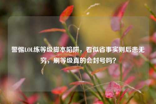 警惕LOL练等级脚本陷阱，看似省事实则后患无穷，刷等级真的会封号吗？