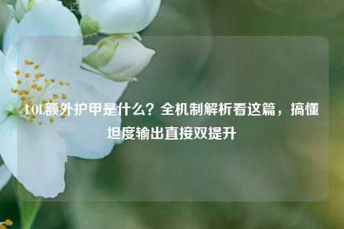 LOL额外护甲是什么？全机制解析看这篇，搞懂坦度输出直接双提升