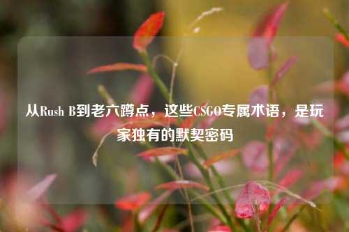 从Rush B到老六蹲点，这些CSGO专属术语，是玩家独有的默契密码
