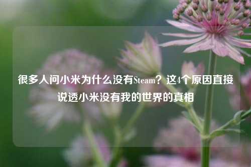 很多人问小米为什么没有Steam?这4个原因直接说透小米没有我的世界的真相