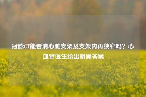 冠脉CT能看清心脏支架及支架内再狭窄吗?心血管医生给出明确答案