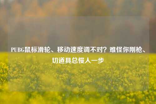 PUBG鼠标滑轮、移动速度调不对？难怪你刚枪、切道具总慢人一步