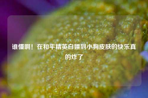 谁懂啊！在和平精英白嫖到小狗皮肤的快乐真的炸了