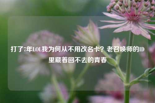 打了7年LOL我为何从不用改名卡？老召唤师的ID里藏着回不去的青春