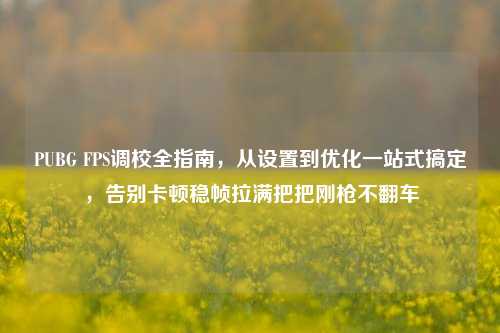 PUBG FPS调校全指南，从设置到优化一站式搞定，告别卡顿稳帧拉满把把刚枪不翻车
