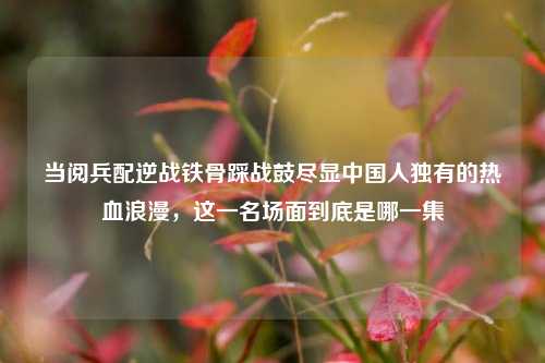当阅兵配逆战铁骨踩战鼓尽显中国人独有的热血浪漫,这一名场面到底是哪一集