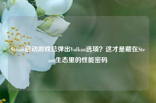 Steam启动游戏总弹出Vulkan选项？这才是藏在Steam生态里的性能密码