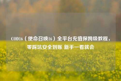 COD16（使命召唤16）全平台充值保姆级教程，零踩坑安全到账 新手一看就会