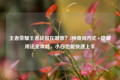 王者荣耀王者战报在哪查？3种查询方式+隐藏用法全攻略，小白也能快速上手