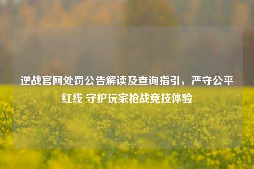 逆战官网处罚公告解读及查询指引，严守公平红线 守护玩家枪战竞技体验