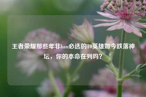 王者荣耀那些年非ban必选的T0英雄如今跌落神坛，你的本命在列吗？