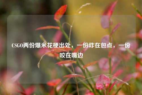 CSGO两份爆米花梗出处，一份炸在包点，一份咬在嘴边