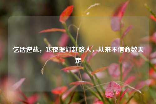乞活逆战，寒夜提灯赶路人，从来不信命数天定