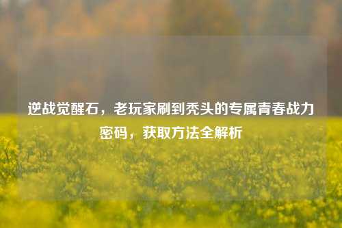 逆战觉醒石,老玩家刷到秃头的专属青春战力密码,获取方法全解析