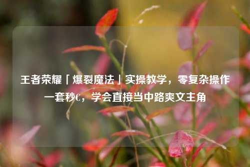王者荣耀「爆裂魔法」实操教学，零复杂操作一套秒C，学会直接当中路爽文主角