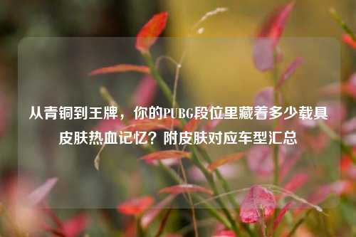 从青铜到王牌，你的PUBG段位里藏着多少载具皮肤热血记忆？附皮肤对应车型汇总
