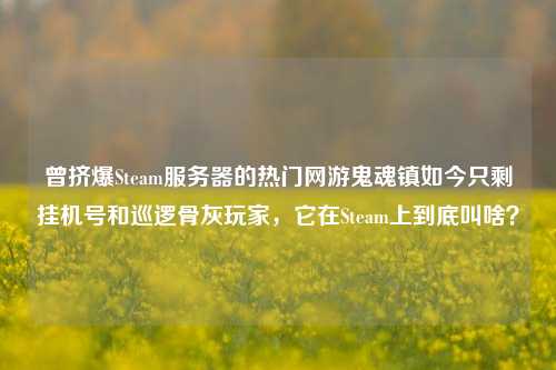 曾挤爆Steam服务器的热门网游鬼魂镇如今只剩挂机号和巡逻骨灰玩家，它在Steam上到底叫啥？