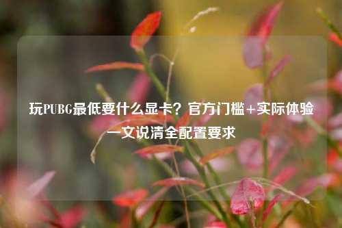 玩PUBG最低要什么显卡？官方门槛+实际体验一文说清全配置要求