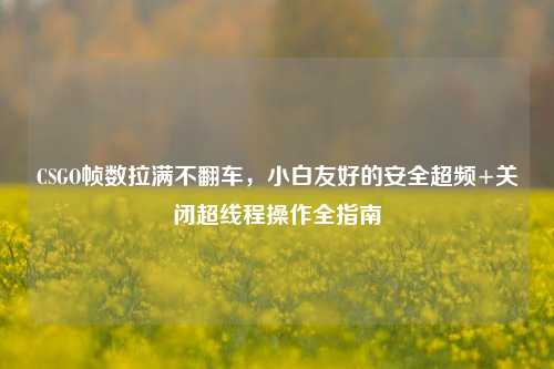 CSGO帧数拉满不翻车，小白友好的安全超频+关闭超线程操作全指南