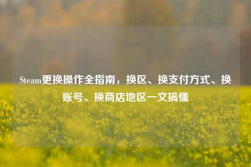 Steam更换操作全指南，换区、换支付方式、换账号、换商店地区一文搞懂