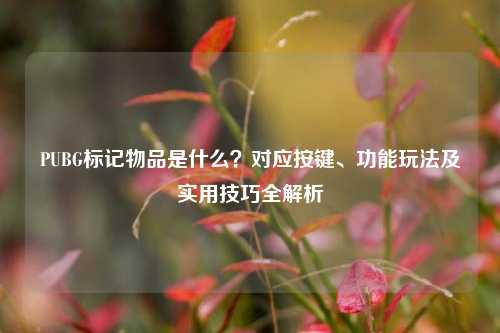 PUBG标记物品是什么？对应按键、功能玩法及实用技巧全解析