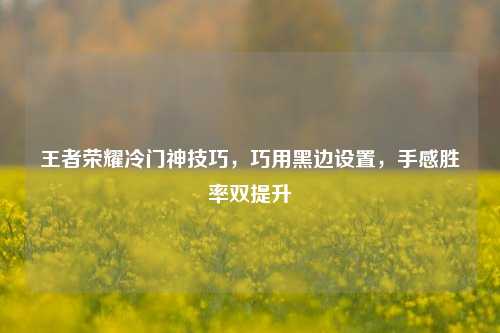 王者荣耀冷门神技巧，巧用黑边设置，手感胜率双提升
