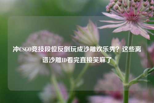 冲CSGO竞技段位反倒玩成沙雕欢乐秀？这些离谱沙雕ID看完直接笑麻了