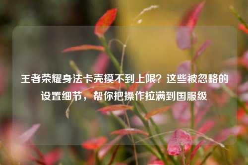 王者荣耀身法卡壳摸不到上限？这些被忽略的设置细节，帮你把操作拉满到国服级