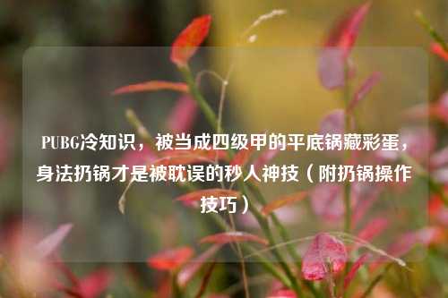 PUBG冷知识，被当成四级甲的平底锅藏彩蛋，身法扔锅才是被耽误的秒人神技（附扔锅操作技巧）