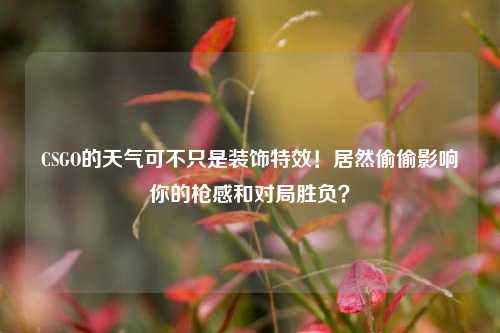 CSGO的天气可不只是装饰特效！居然偷偷影响你的枪感和对局胜负？