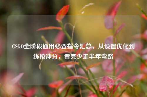 CSGO全阶段通用必要指令汇总，从设置优化到练枪冲分，看完少走半年弯路