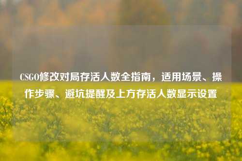 CSGO修改对局存活人数全指南，适用场景、操作步骤、避坑提醒及上方存活人数显示设置