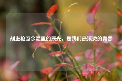 刻进枪膛余温里的辰光,是我们最滚烫的青春