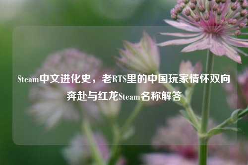 Steam中文进化史，老RTS里的中国玩家情怀双向奔赴与红龙Steam名称解答