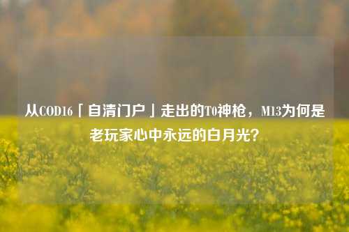 从COD16「自清门户」走出的T0神枪，M13为何是老玩家心中永远的白月光？