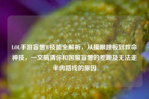LOL手游盲僧W技能全解析，从摸眼跳板到救命神技，一文搞清你和国服盲僧的差距及无法走半肉路线的原因