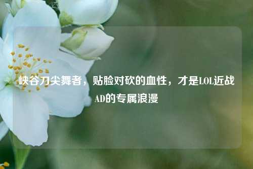 峡谷刀尖舞者，贴脸对砍的血性，才是LOL近战AD的专属浪漫