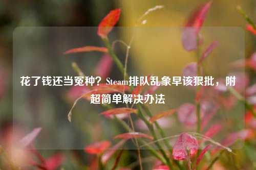 花了钱还当冤种？Steam排队乱象早该狠批，附超简单解决办法